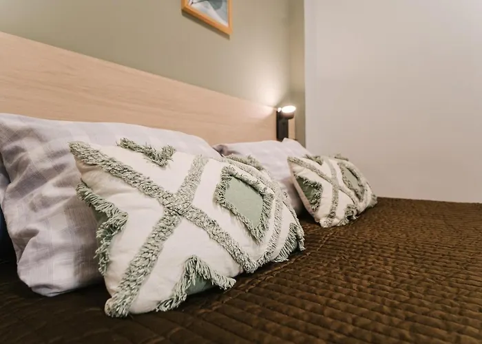 In The Old Town 公寓 莱昂